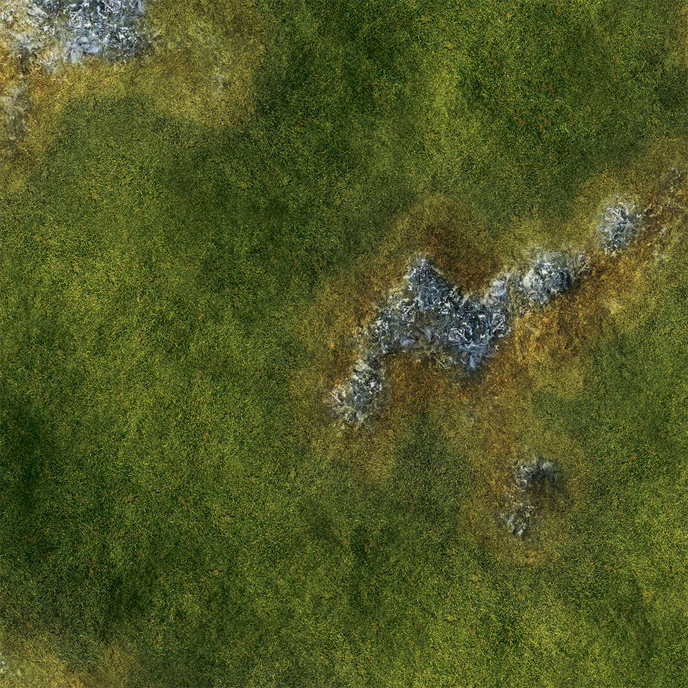 FLG Mats: Grasslands 2 - Image 14