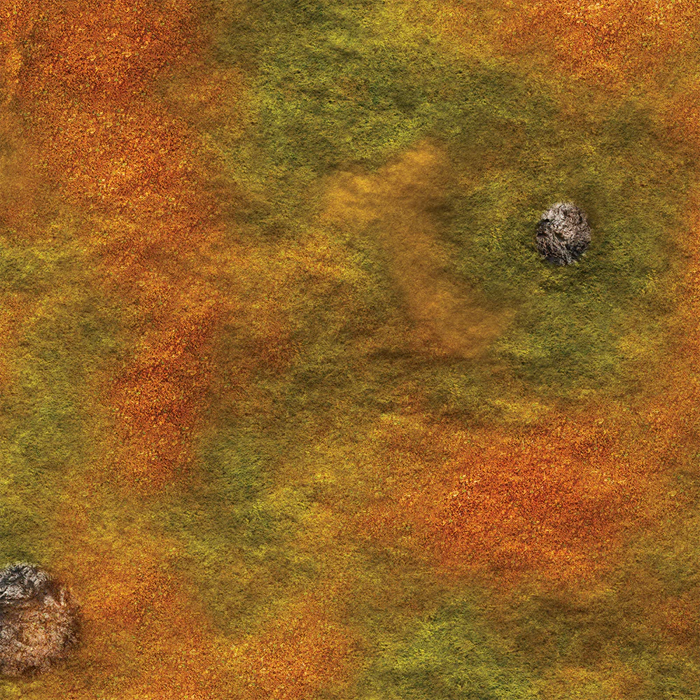 FLG Mats: Autumn Field - Image 13