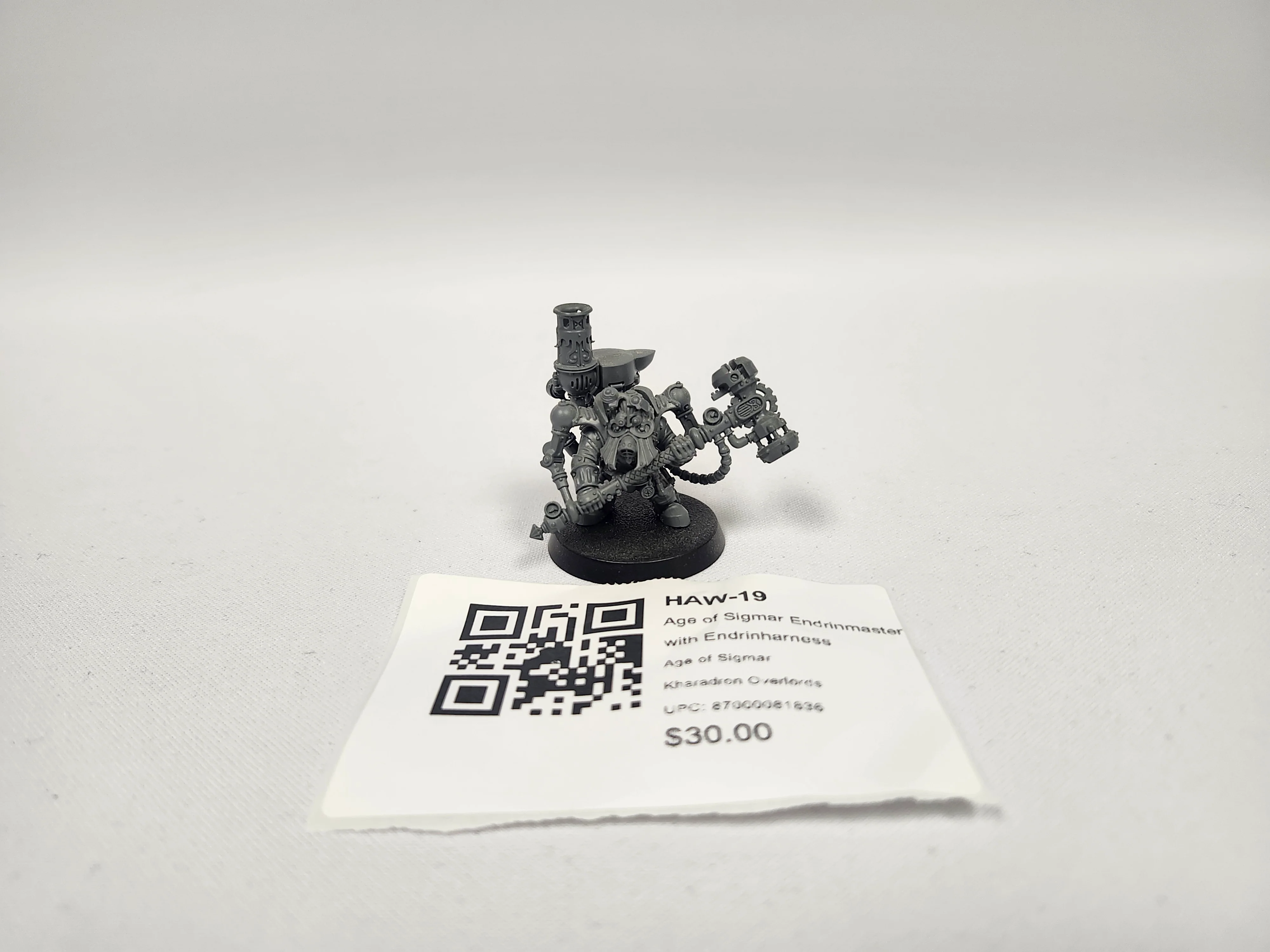 Age of Sigmar Endrinmaster with Endrinharness HAW-19