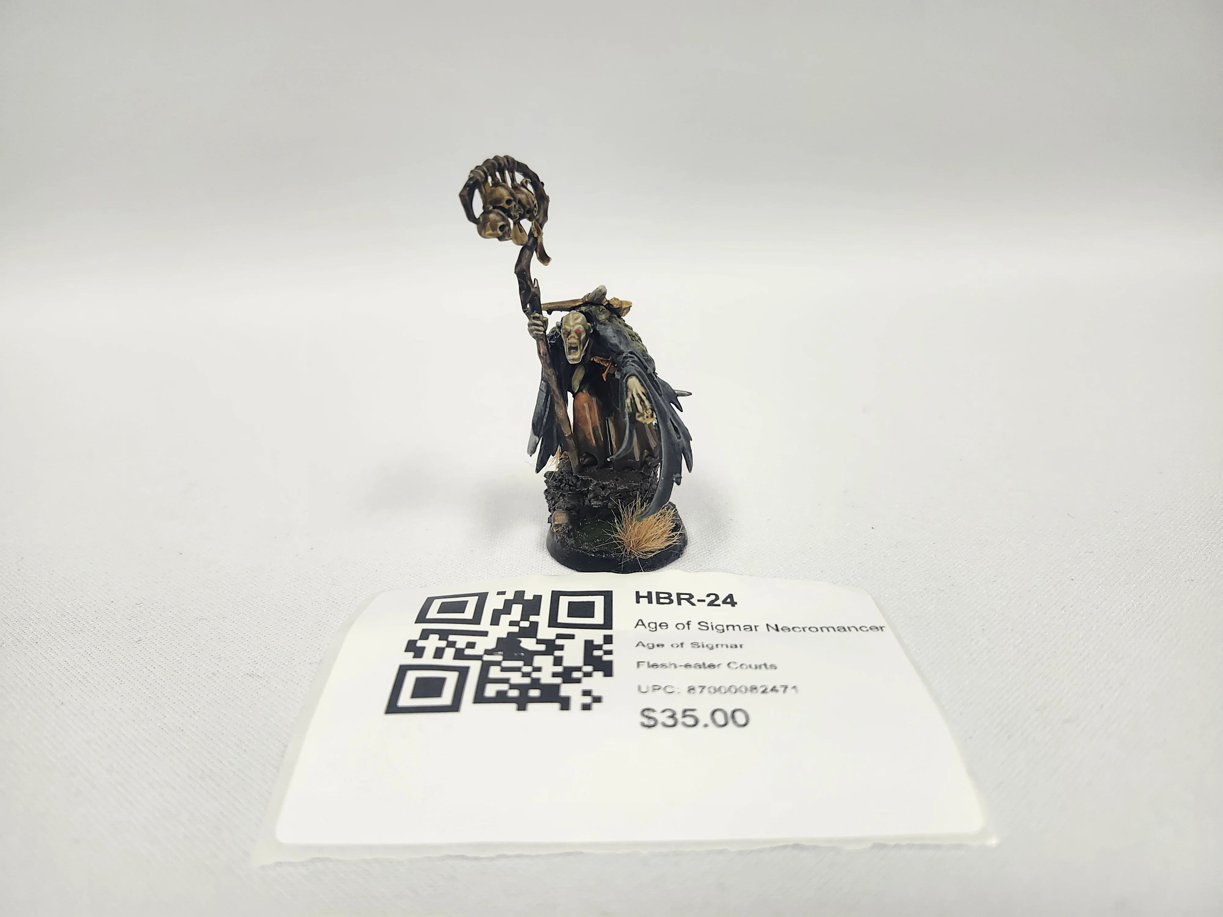 Age of Sigmar Necromancer HBR-24