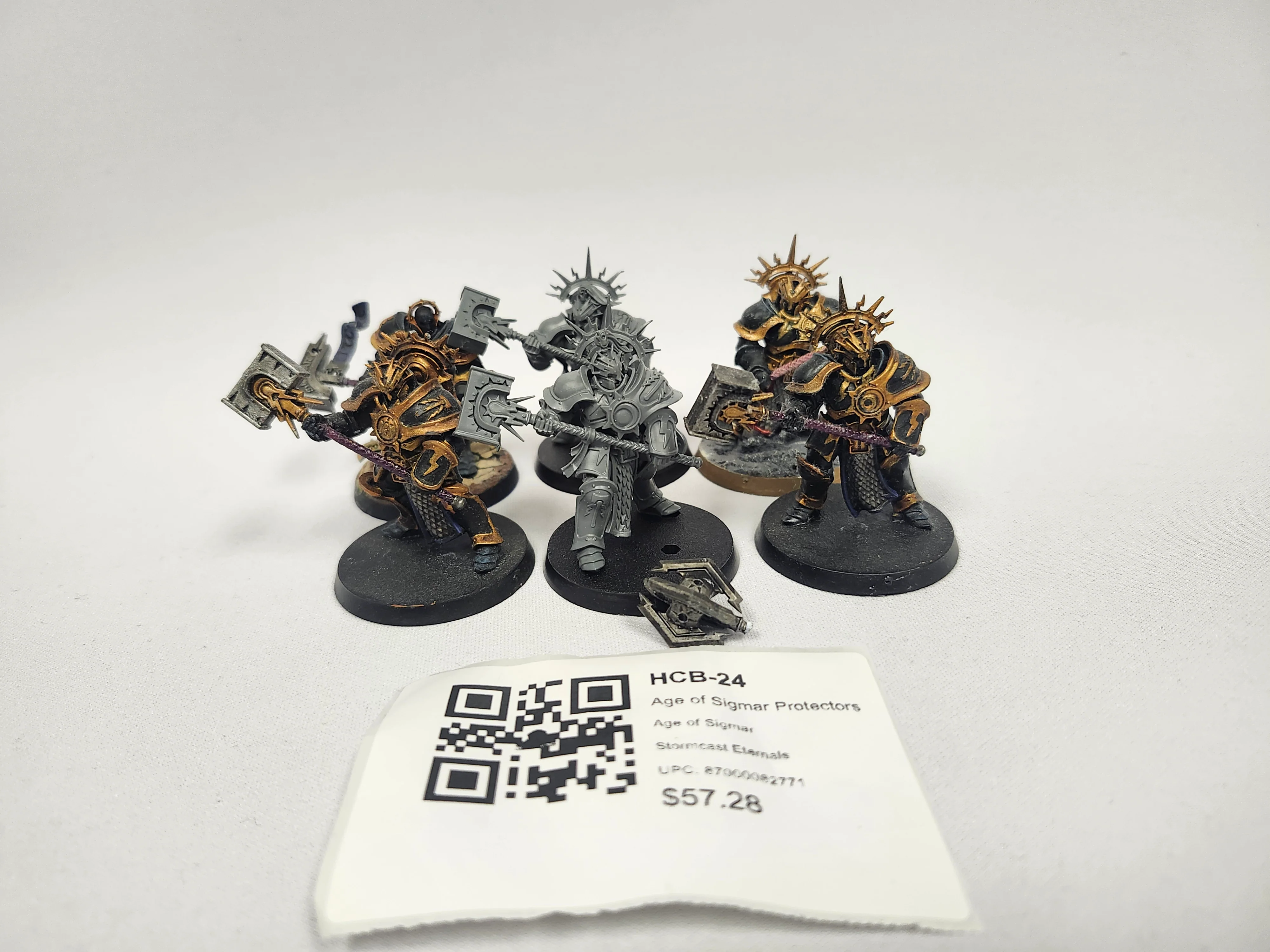 Age of Sigmar Protectors HCB-24