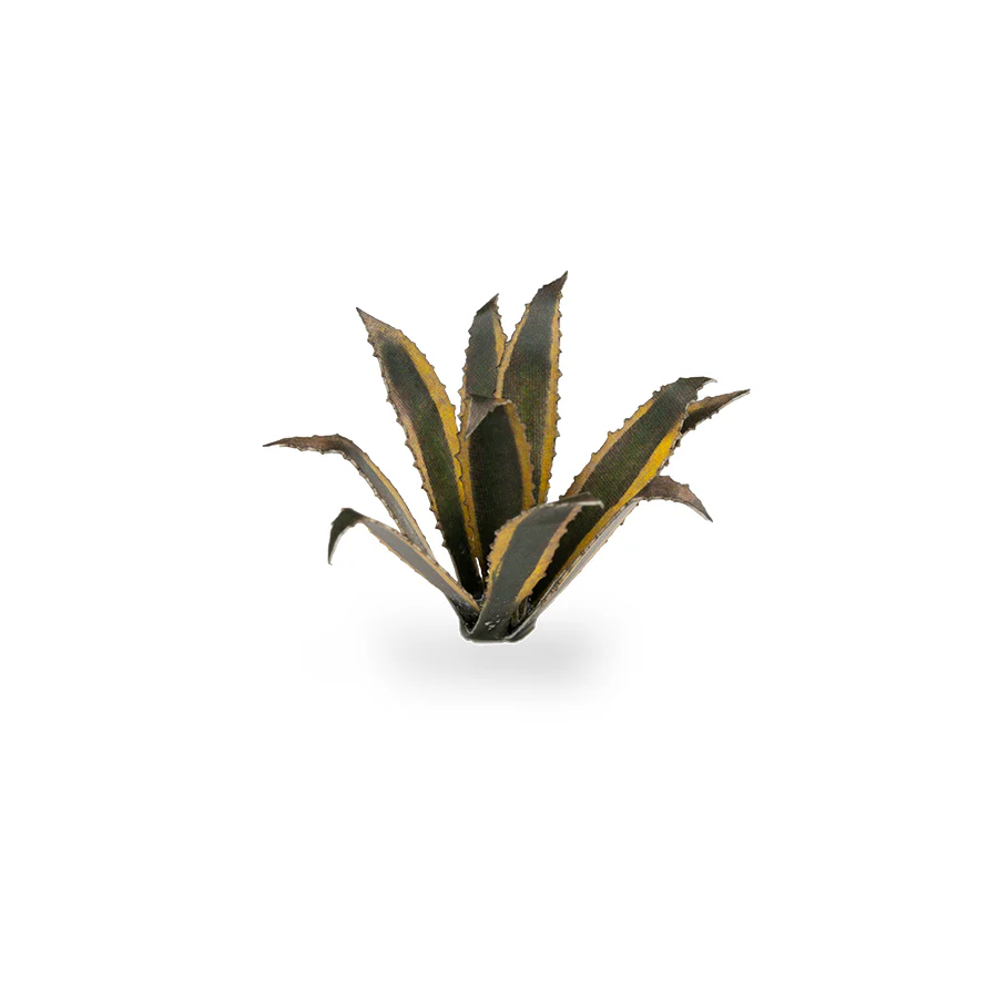 Gamers Grass: Laser Plants - Agave - Image 4