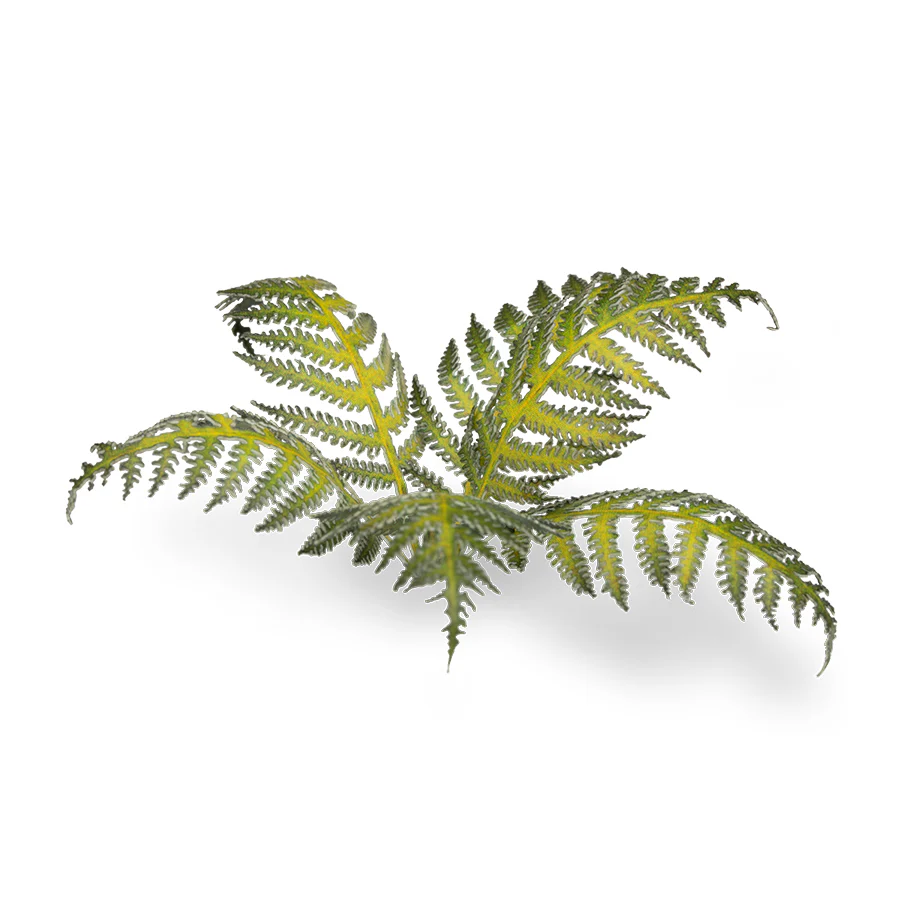 Gamers Grass: Laser Plants - Bracken - Image 4
