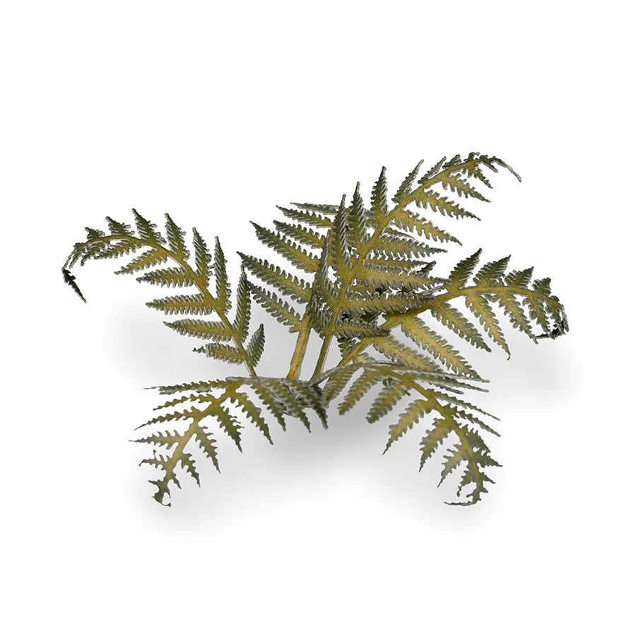 Gamers Grass: Laser Plants - Bracken - Image 5