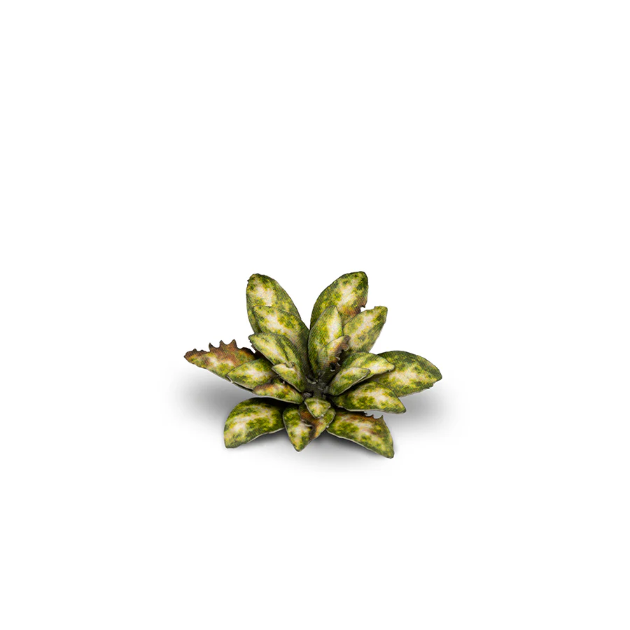 Gamers Grass: Laser Plants - Dumb Cane - Image 5