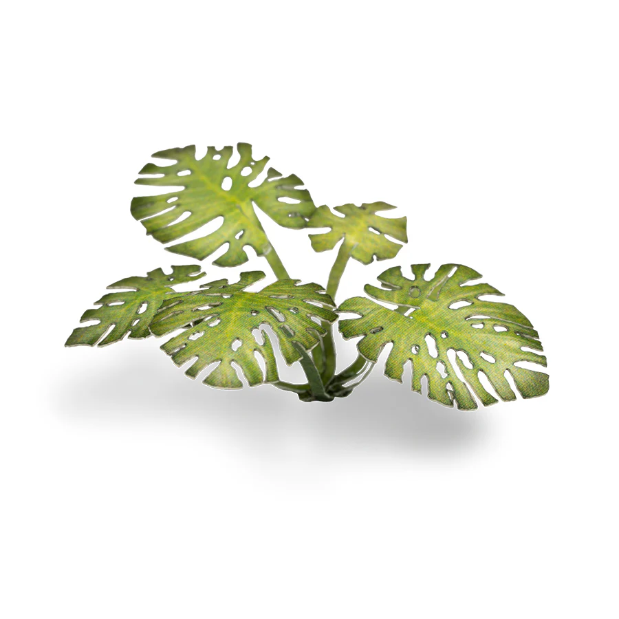 Gamers Grass: Laser Plants - Monstera - Image 5