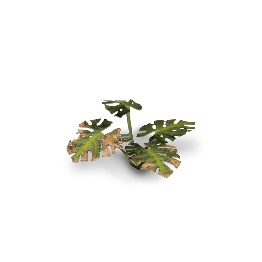 Gamers Grass: Laser Plants - Monstera - Image 6