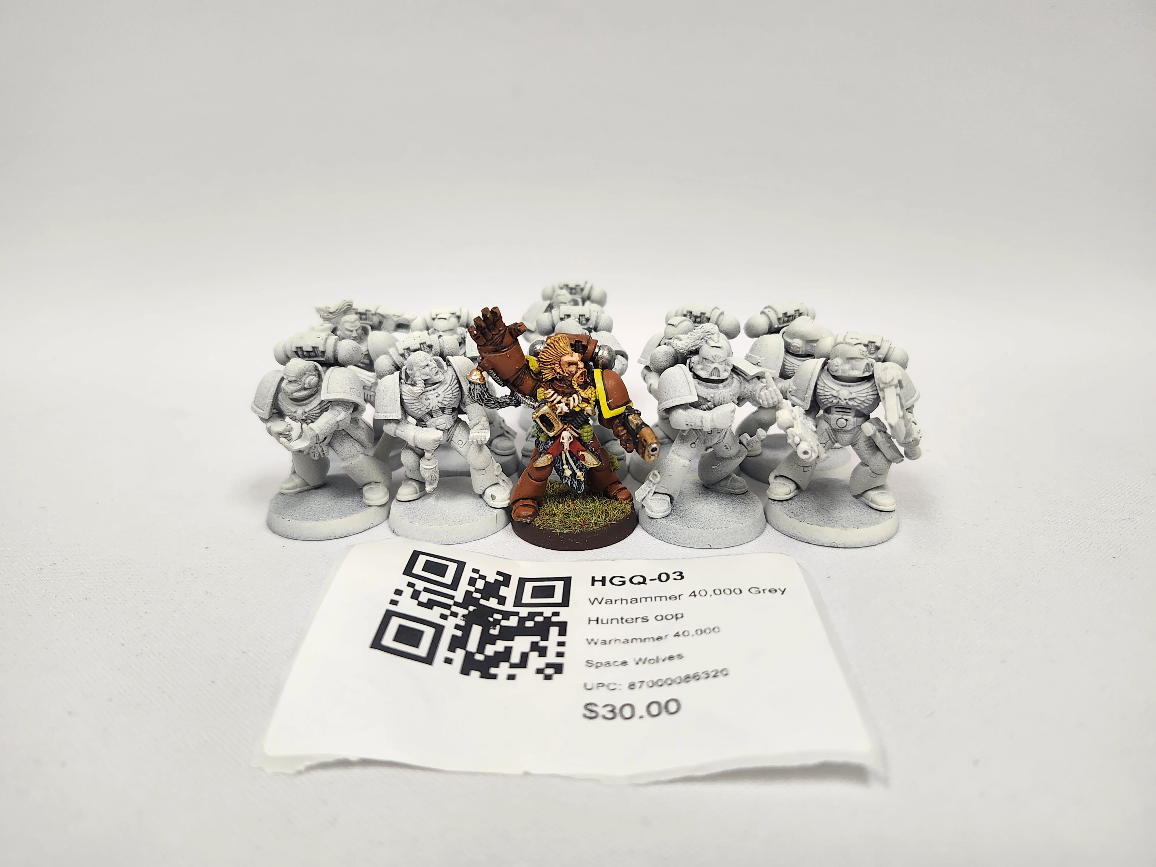 Warhammer 40,000 Grey Hunters oop HGQ-03